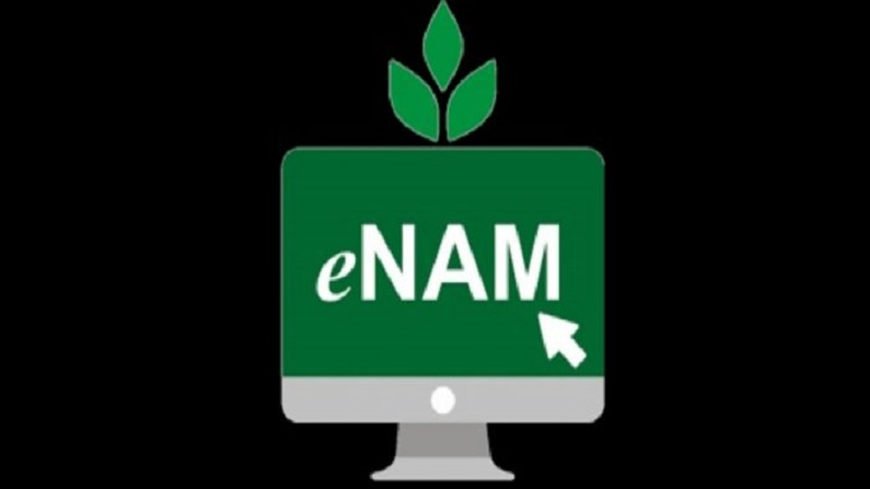 E-NAM पोर्टल पर अब मिलेंगी 3 नई सुविधाएं, बढ़ेगी आमदनी
