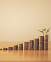 Mutual Funds कर रहे हैं किन Stocks में खरीदारी?